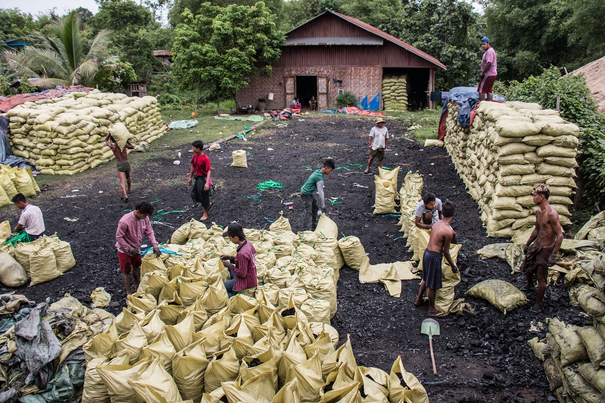 Burning down the house: Myanmar’s destructive charcoal trade